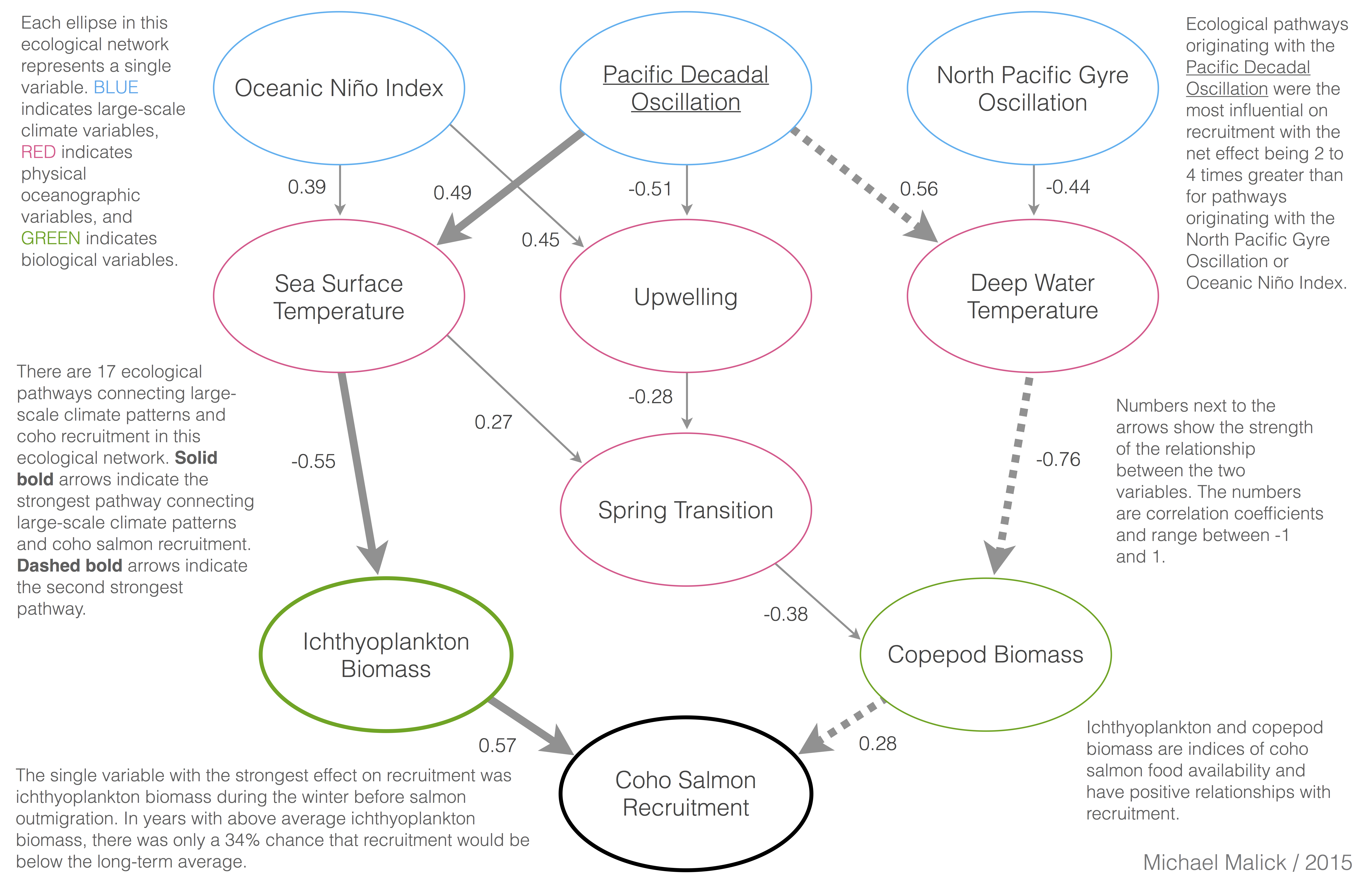 Ecological network effects